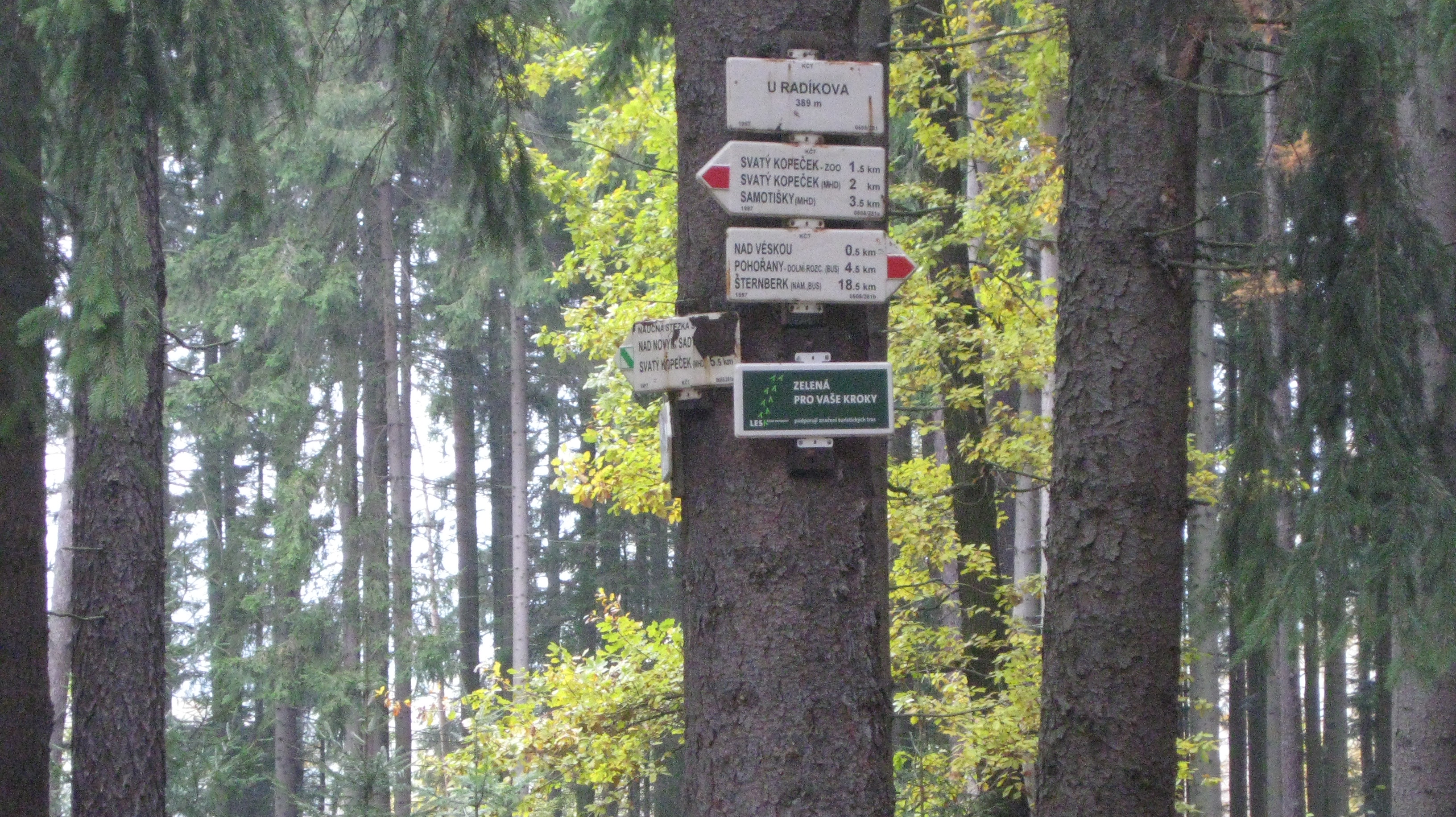 Posl_pochod 28_10_09 007.jpg